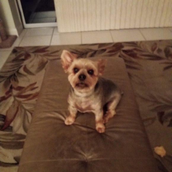 Meet your Posher, Michael - Picture 1 of 1